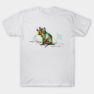 Ziggy And Zorro McFoxes T-Shirt